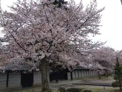 毫攝寺(福井県)