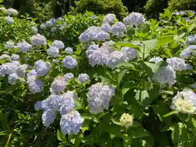 天台宗　長窪山　正覚寺の自然