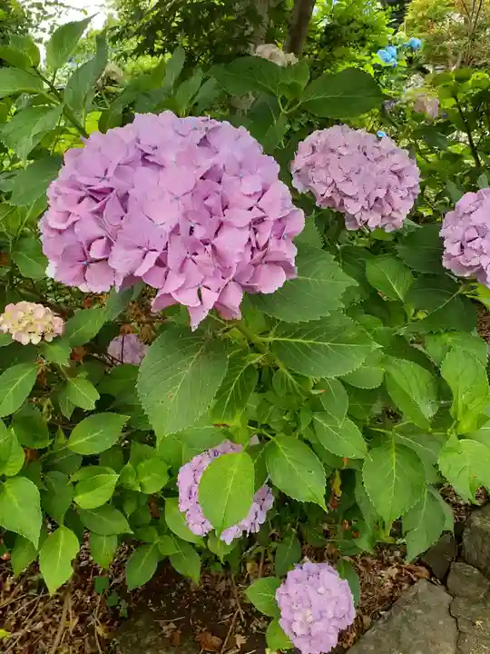 向泉寺(宮城県)