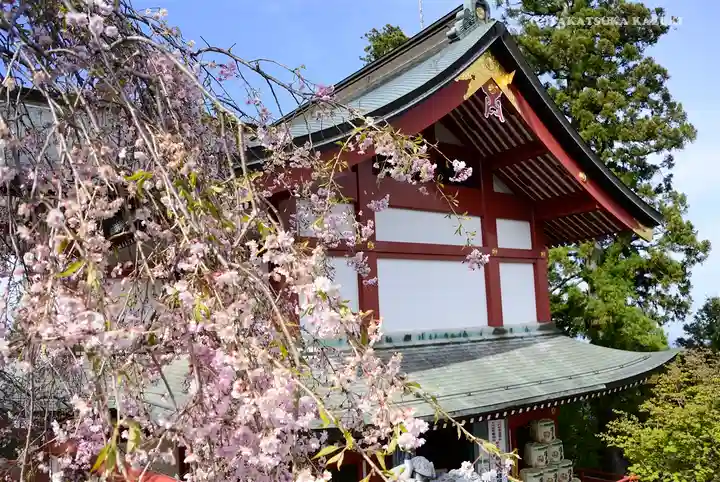 武蔵御嶽神社の本殿・本堂