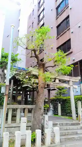 大直禰子神社のその他建物