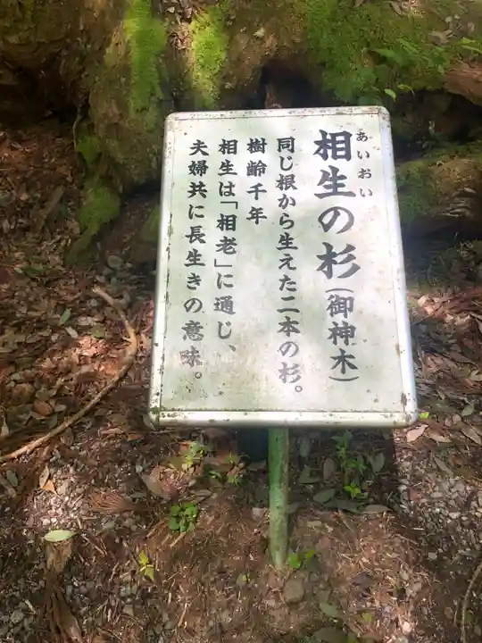 貴船神社(京都府)