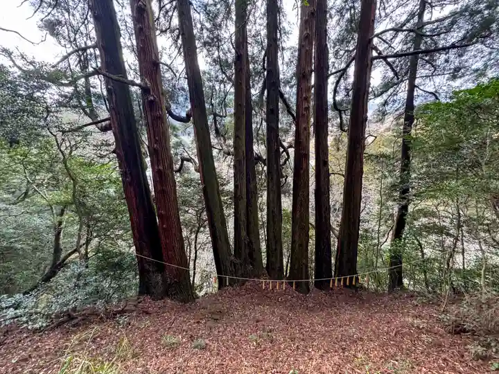 天岩戸神社(宮崎県)
