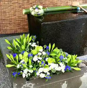 上尾御嶽神社の手水舎(2022年06月26日(日) 16時42分05秒投稿)