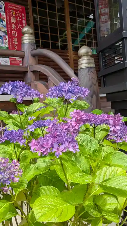 大日寺(大阪府)