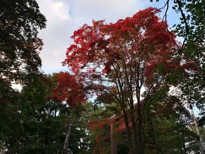 北広島市総鎮守 廣島神社の自然