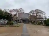 常福寺(千葉県)