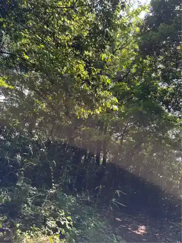 サムハラ神社 奥の宮(岡山県)