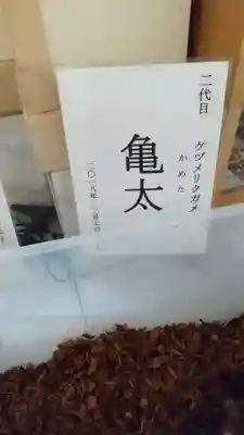 越谷香取神社のその他建物