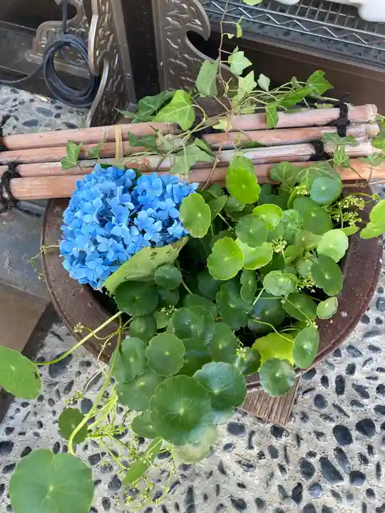 新琴似神社の手水舎