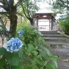 祥雲寺の景色