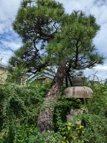 勝念寺（かましきさん）(京都府)