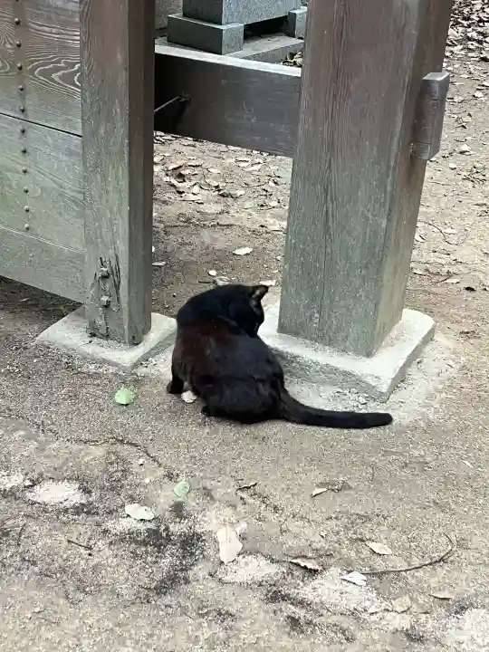 東雲神社(愛媛県)