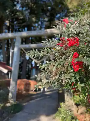 笠石神社(栃木県)