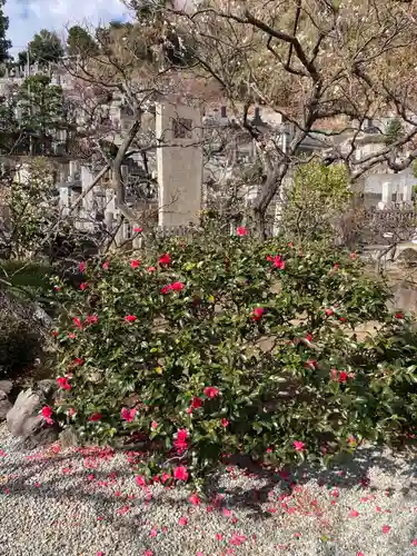 妙法寺(神奈川県)