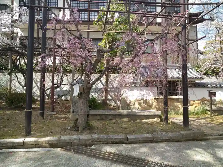 阿智神社の庭園