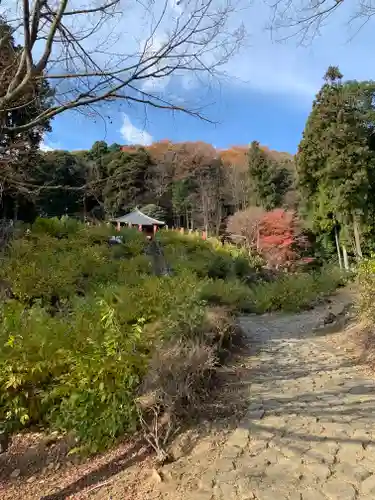 清水寺の景色