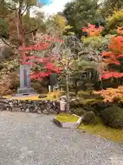 今熊野観音寺(京都府)