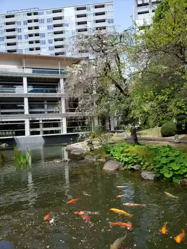 東郷神社の庭園