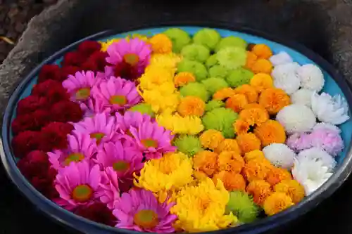 大鏑神社の手水舎
