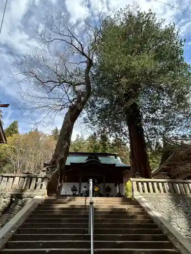 新海三社神社の{uncategorized: "未分類", other: "その他", undefined: "問題あり", building: "その他建物", grave: "お墓", sacred_gate: "鳥居", guardian: "狛犬", statue: "像", buddha: "仏像", history: "歴史", nature: "自然", garden: "庭園", animal: "動物", pagoda: "塔", temizu: "手水舎", mountain_gate: "山門・神門", sanctuary: "本殿・本堂", subordinate: "末社・摂社", art: "芸術", scenery: "景色", jizo: "地蔵", ema: "絵馬", goshuin: "御朱印", omikuji: "おみくじ", items: "授与品その他", amulet: "お守り", goshuincho: "御朱印帳", eats: "食事", festival: "お祭り", votive_dance: "神楽", shichigosan: "七五三参", wedding: "結婚式", experience: "体験その他", initially: "初詣", around: "周辺", anti_infection: "感染症対策"}