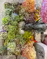 札幌諏訪神社の手水舎