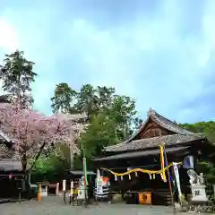 天宮神社の本殿