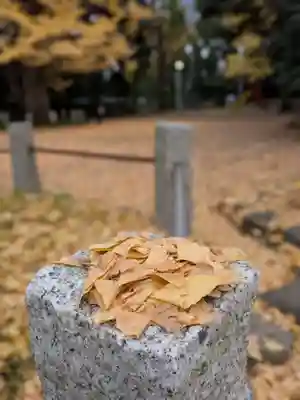 赤坂氷川神社(東京都)