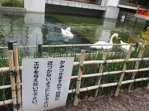 頂法寺（六角堂）(京都府)
