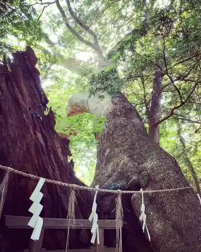 住吉神社(山口県)