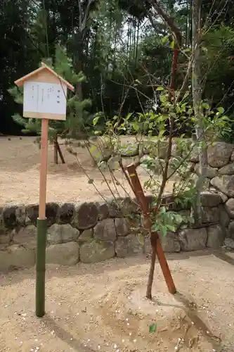 天満神社の建物その他