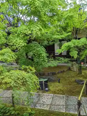 勝林寺(京都府)