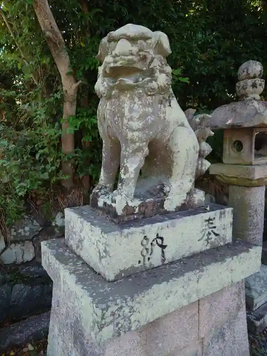 宇治神社の狛犬