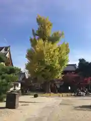 永保寺の庭園