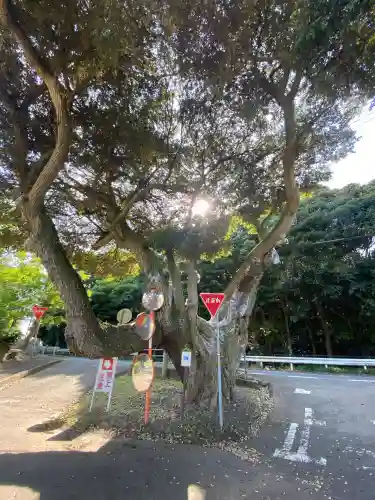 道路衢神(茨城県)