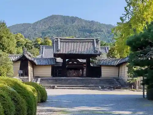 隨心院（随心院）の山門・神門