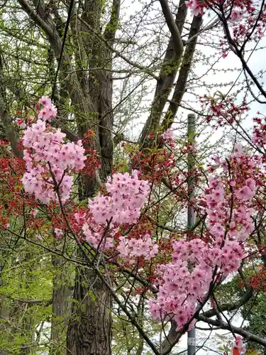 阿邪訶根神社(福島県)