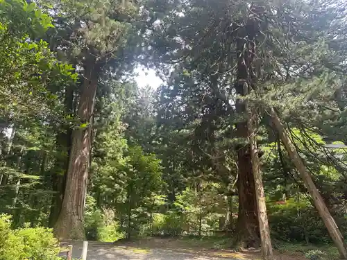 花園神社(茨城県)