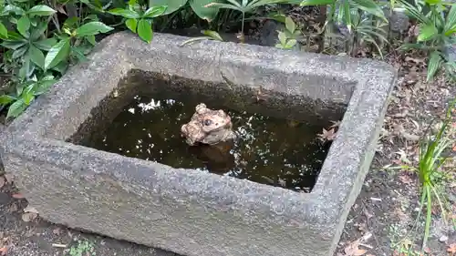 大雲寺(京都府)