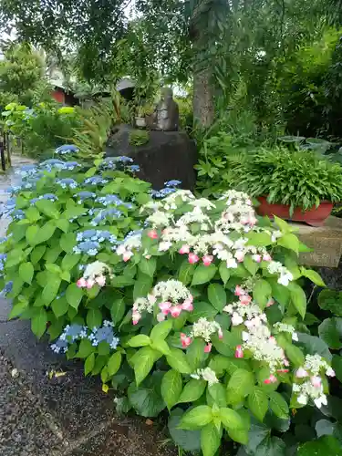 常泉寺(神奈川県)