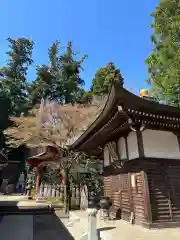 高尾山薬王院(東京都)