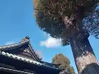 八幡大神宮のその他建物