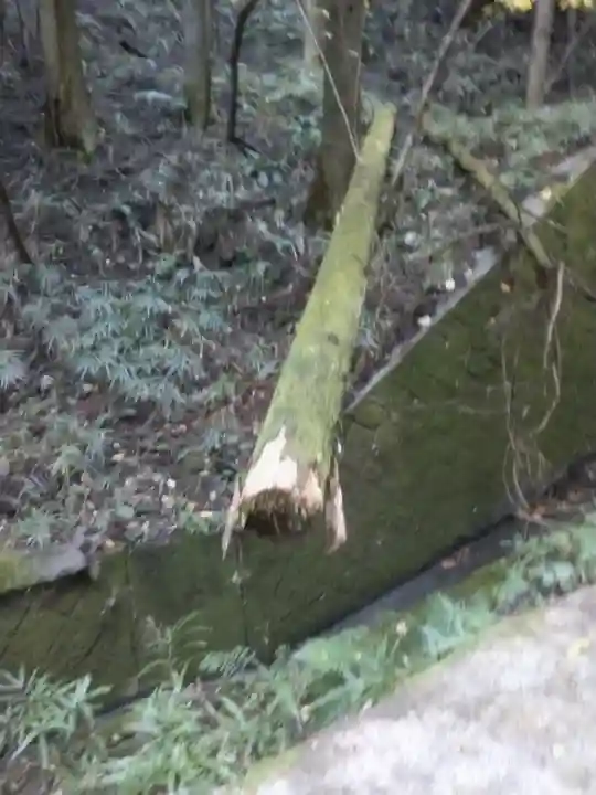名草厳島神社(栃木県)