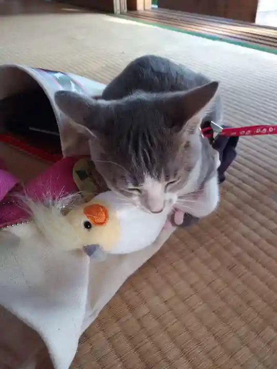 高司神社〜むすびの神の鎮まる社〜(福島県)