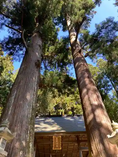 恵那神社の自然