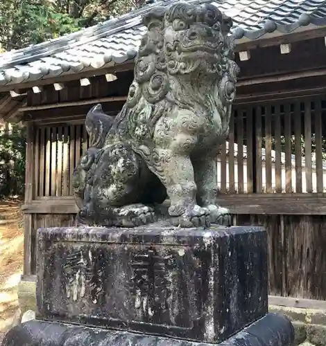 素戔嗚神社の狛犬