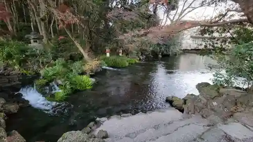 富士山本宮浅間大社(静岡県)