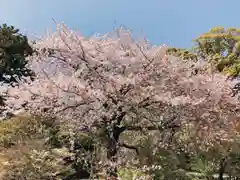 報徳二宮神社(神奈川県)