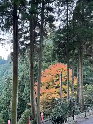 比叡山延暦寺(滋賀県)