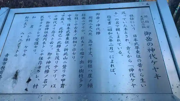 武蔵御嶽神社のその他建物